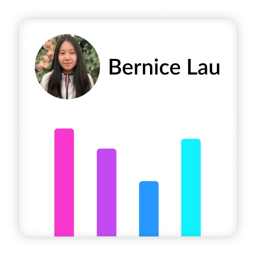 Developer profile with statistics bars